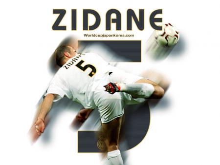fan's zidane